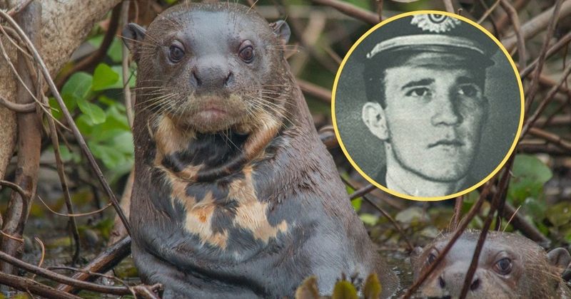 Sierżant Hollenbach podczas akcji ratunkowej