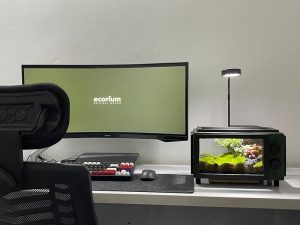 Streaming telewizja bardziej – co się bardziej opłaca?