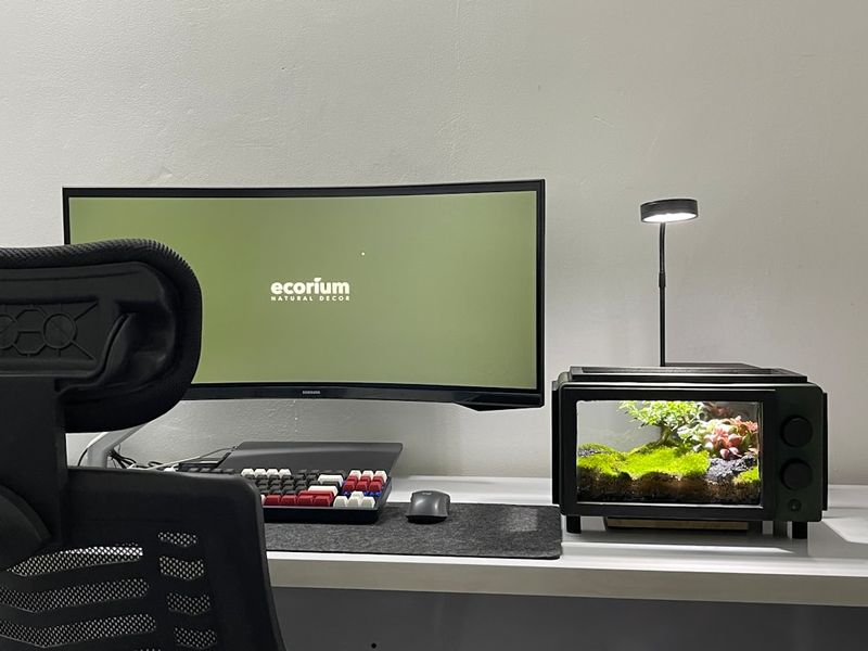 Streaming telewizja bardziej - obraz przedstawiający porównanie